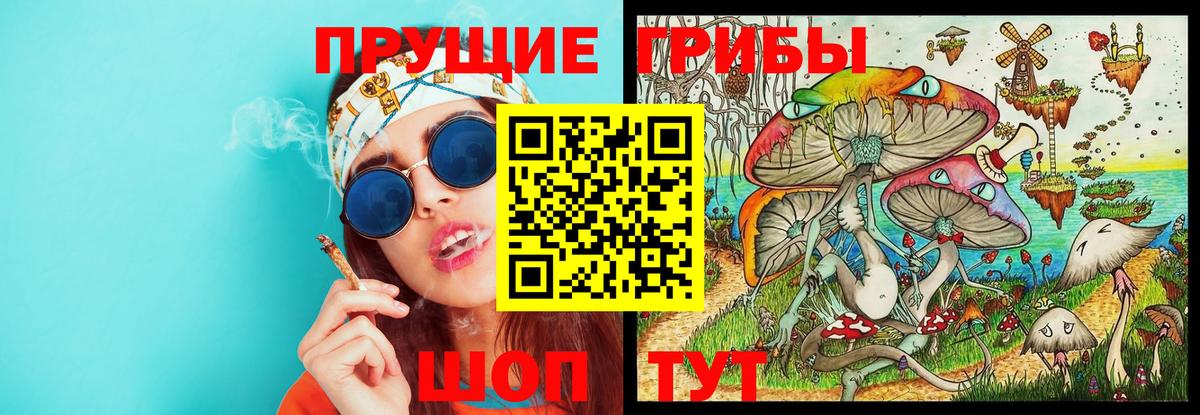 Псилоцибиновые грибы ЛСД  где купить наркоту  Михайловка  Вход с VPN 